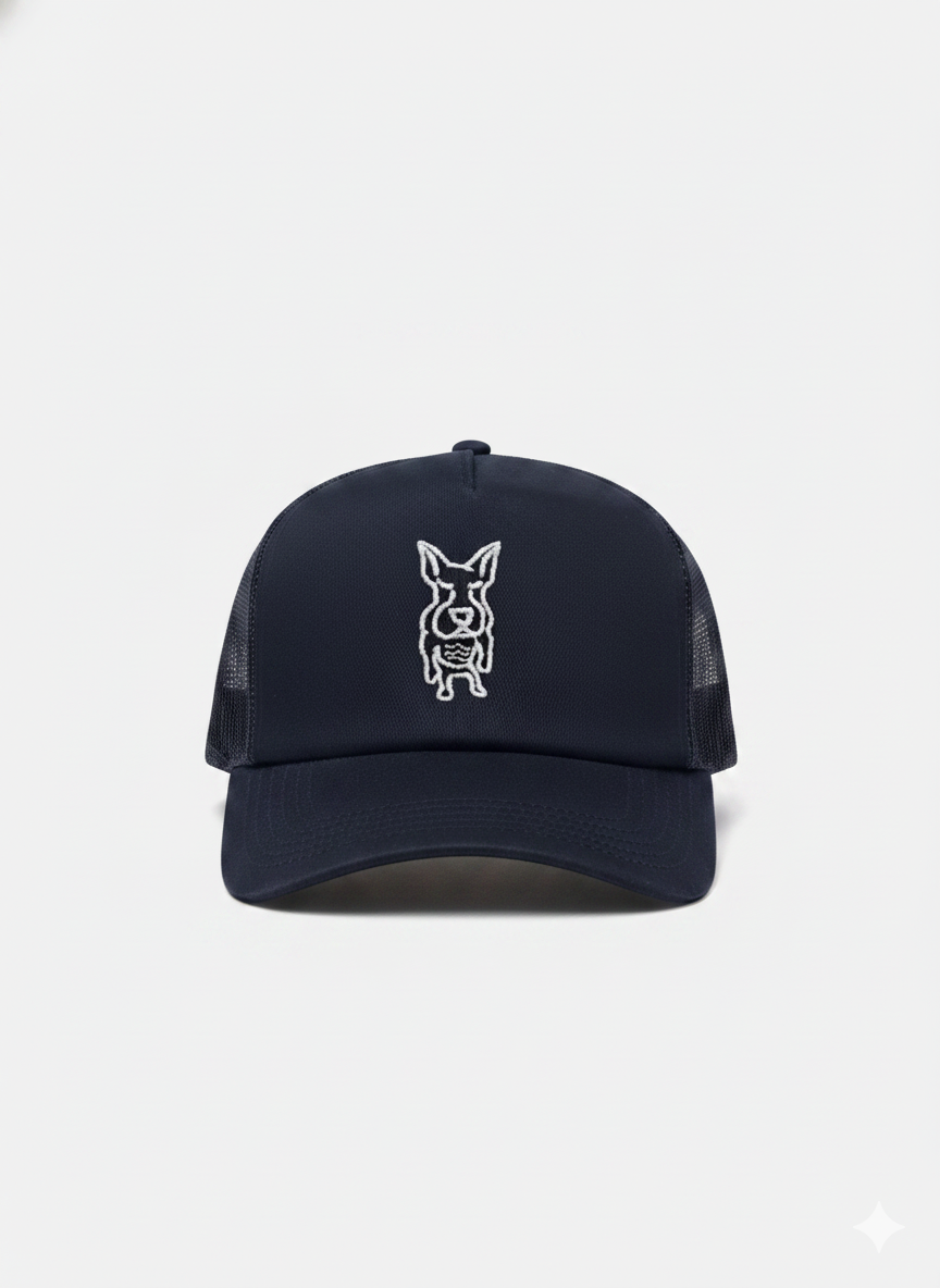 gorra