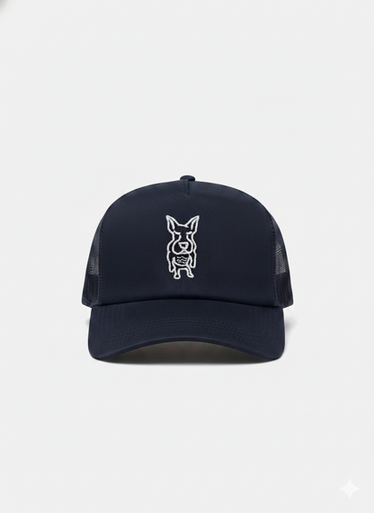 gorra